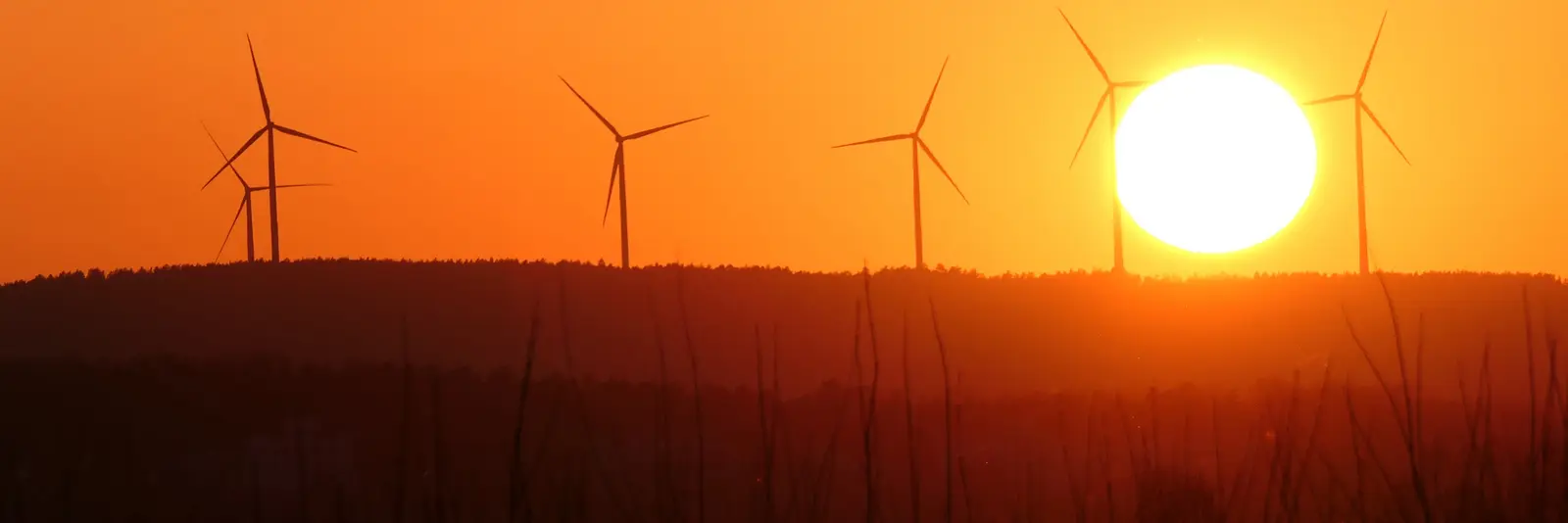 Windpark im Sonnenuntergang