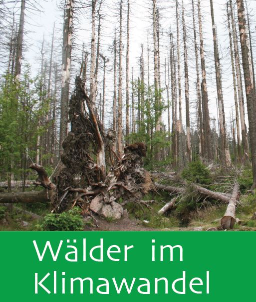 Forum Waldkontroversen.JPG
